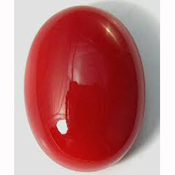 Japanese red coral 2025 stone price